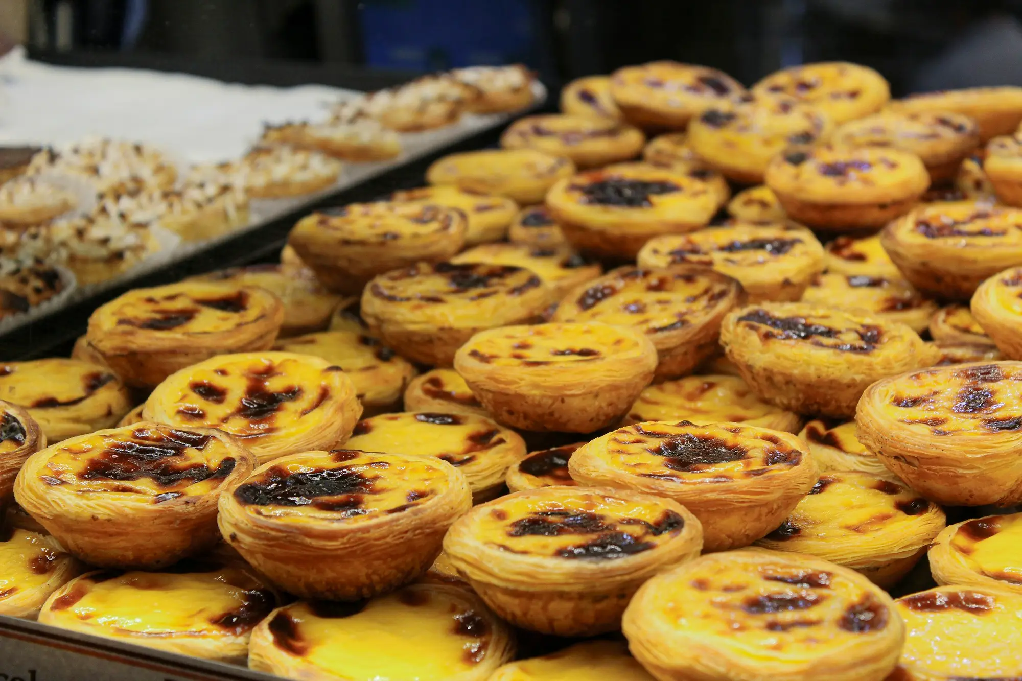 Tabuleiro cheio de pastéis de nata acabados de sair do forno