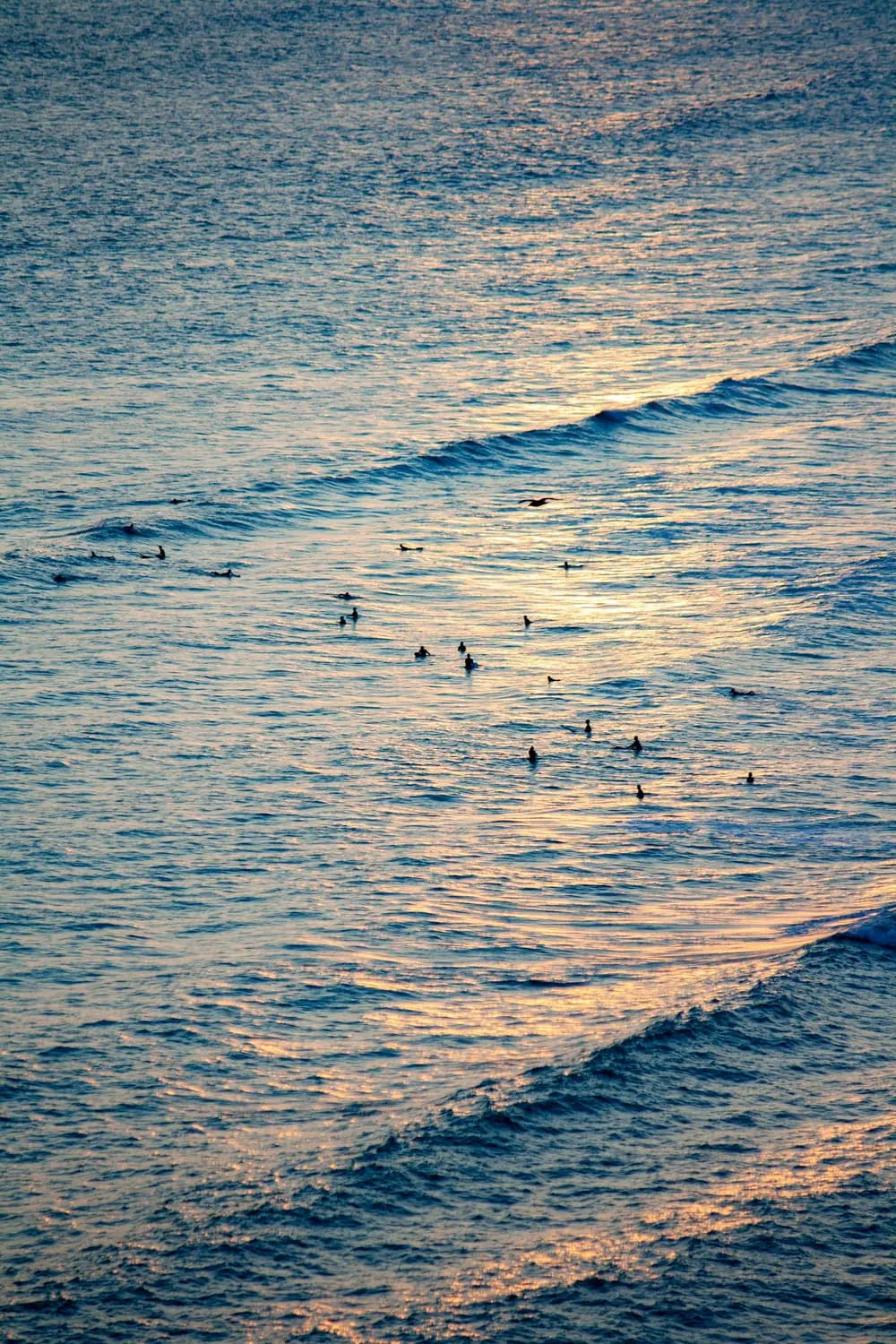 Surfistas à espera da onda ao fim da tarde